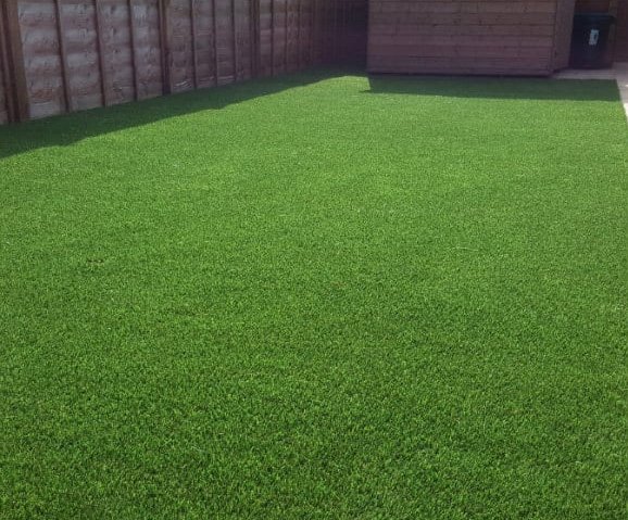 Grass After Transformation